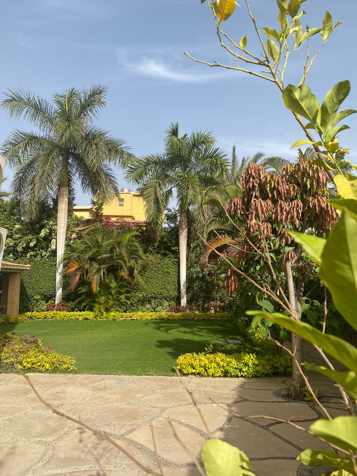 villa at El Rehab