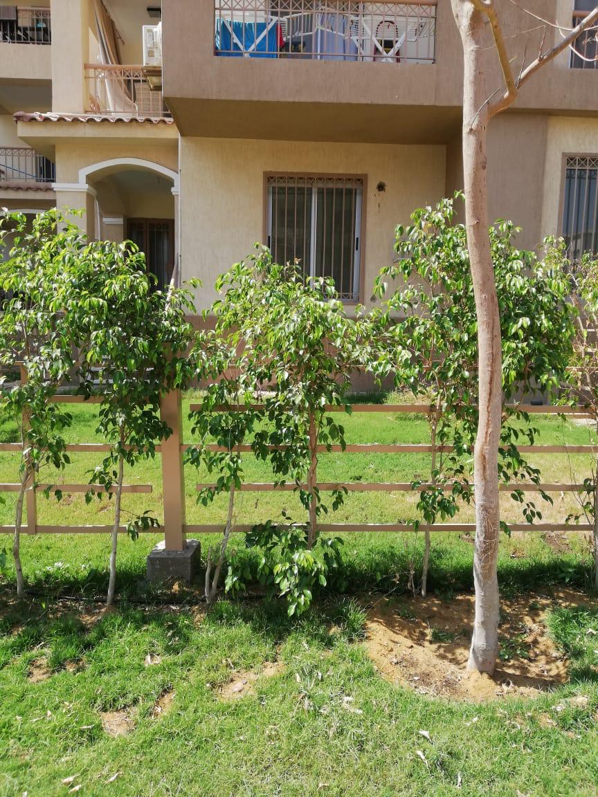 apartment at Madinaty