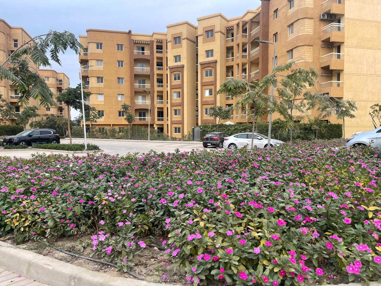 apartment at Ashgar City