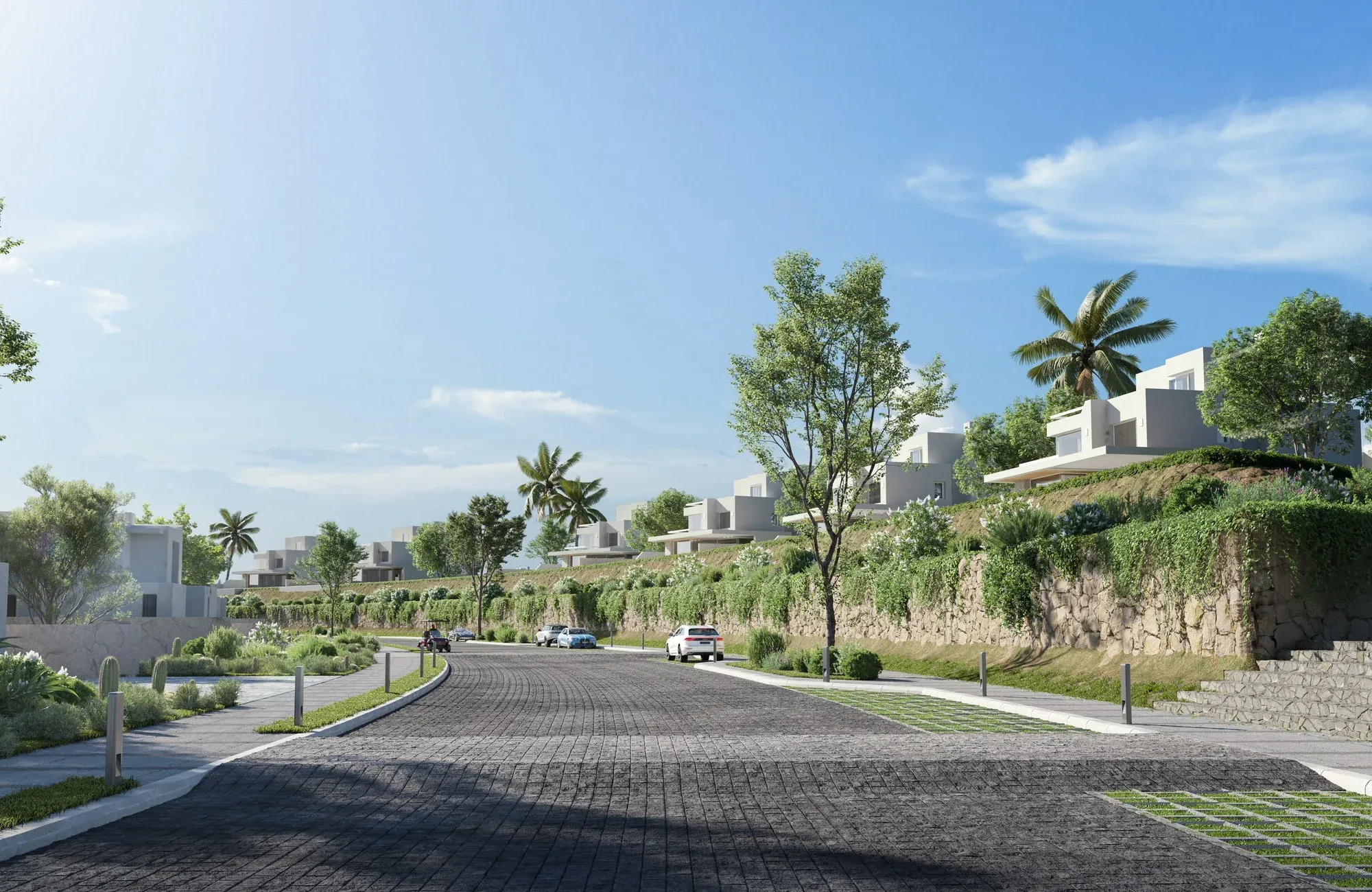 duplex at LVLS Mountain View