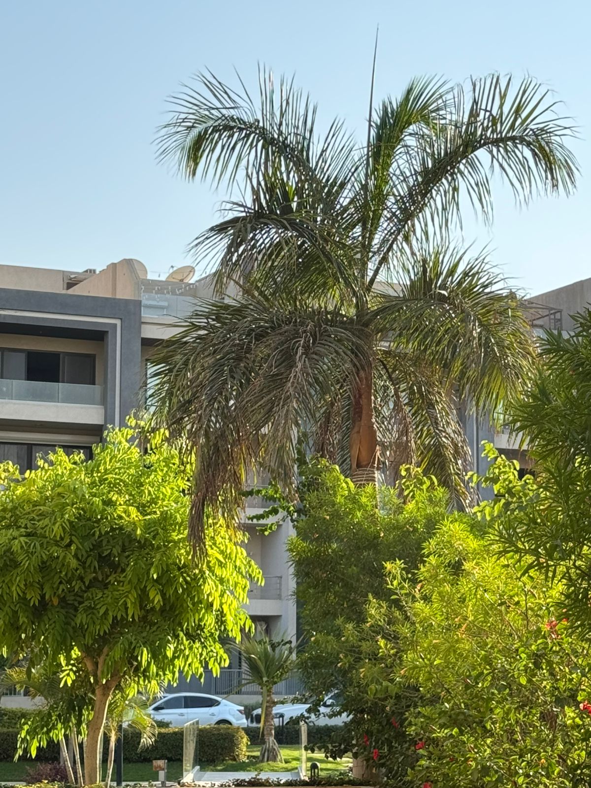 apartment at Midtown New Cairo