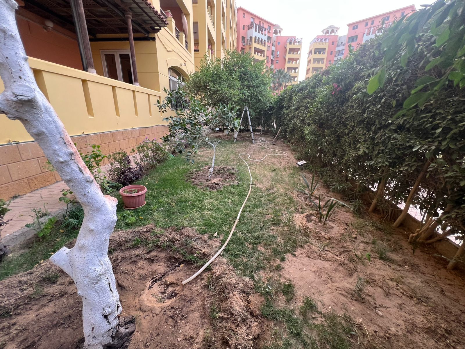 شقة في دريم لاند، صورة ٢ من ٥