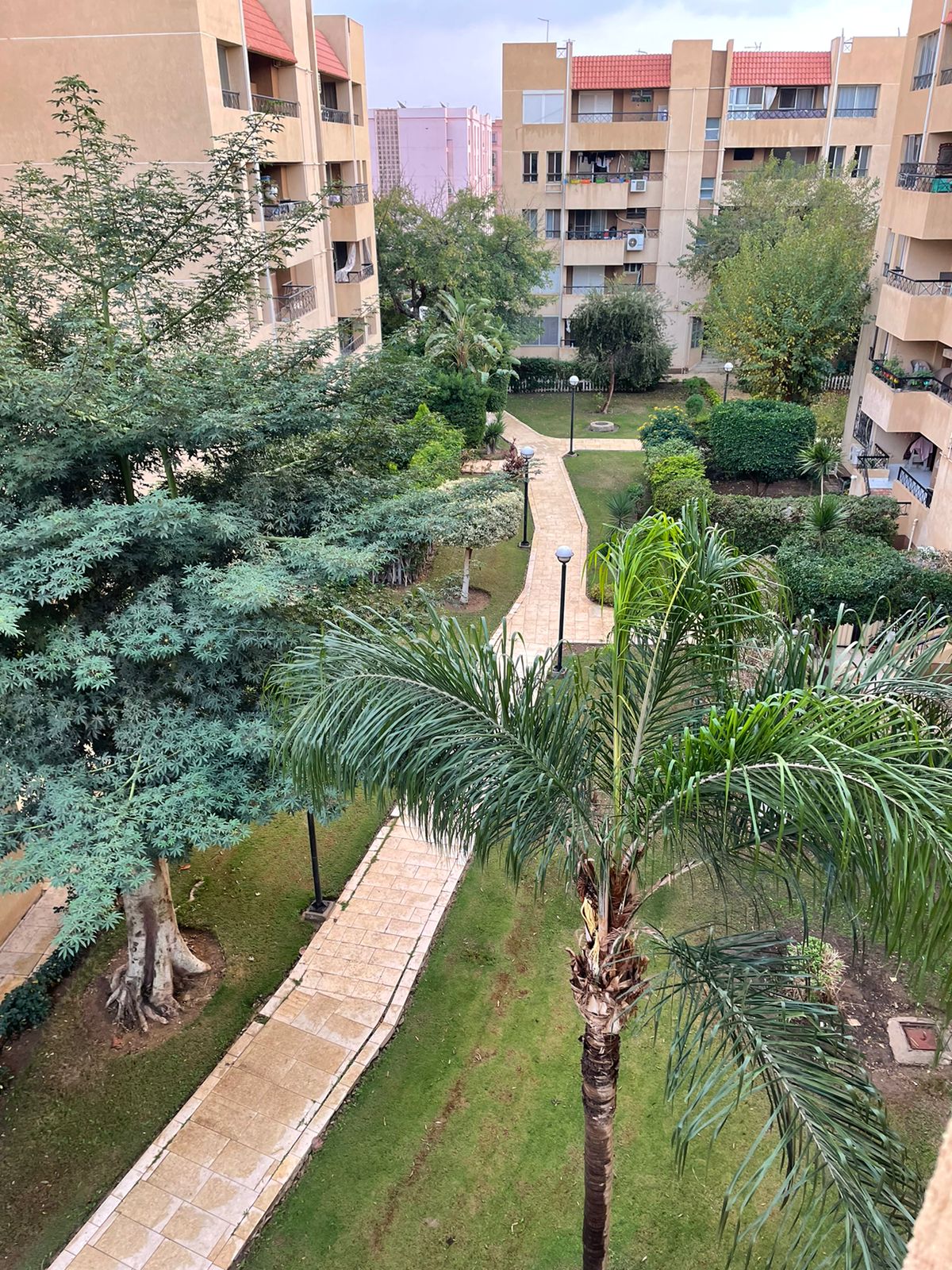 apartment at El Rehab