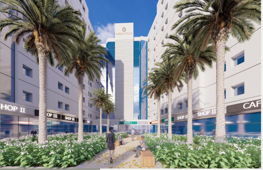  at 205 Arkan Palm