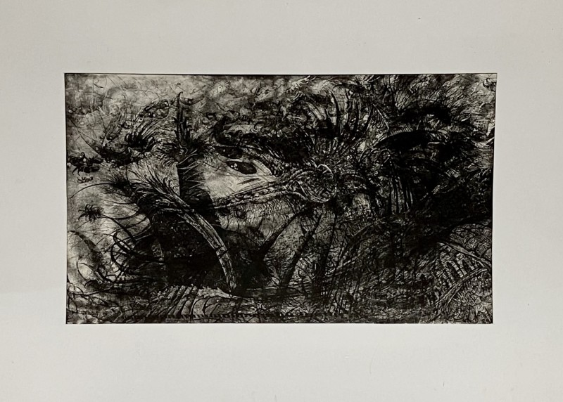 В далекій країні