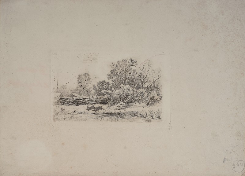 Собаки біля тину