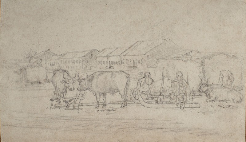 Воли та сани на дорозі