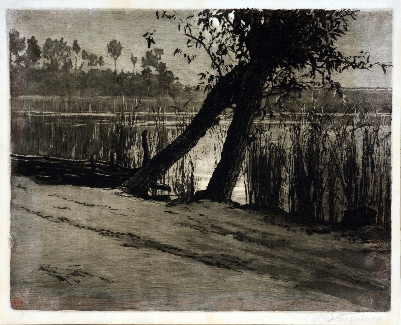 Верби. Пейзаж