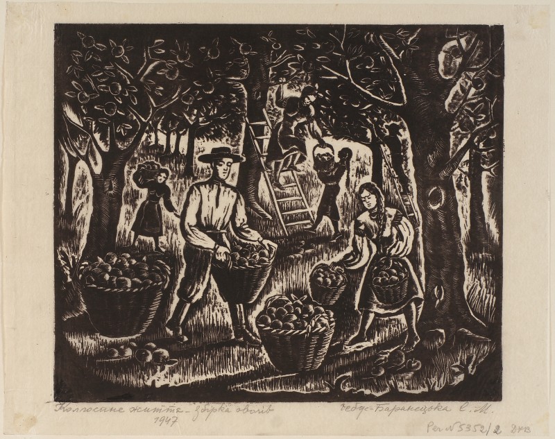 Збирання фруктів