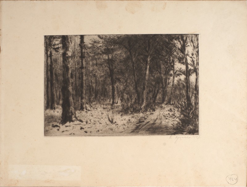 На галявині лісу