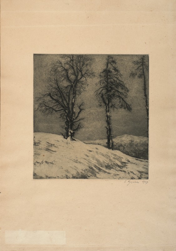 На верховині