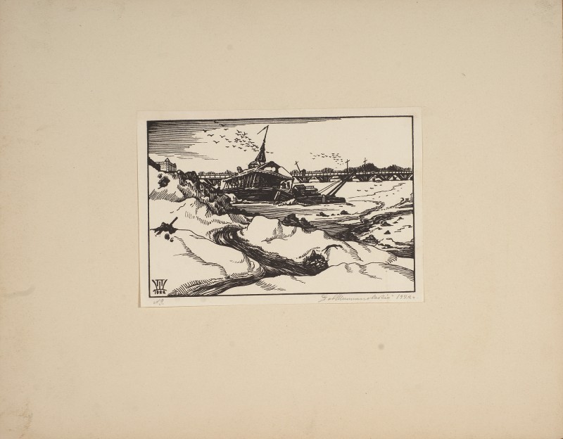 Мала Нева та Туков міст