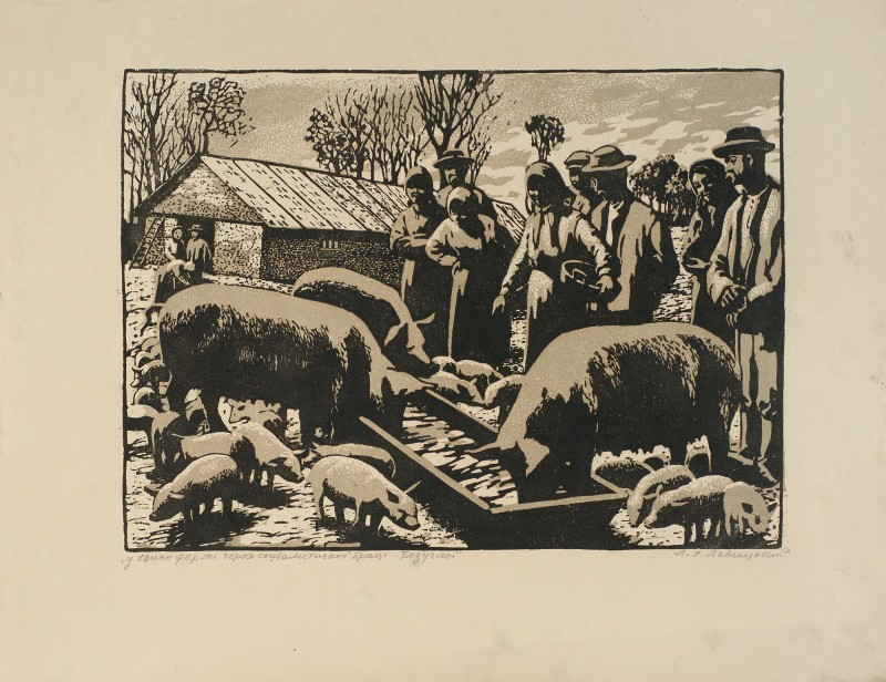 У свинофермі героя соціалістичної праці Безуглої