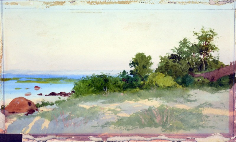 Група дерев. На піщаному березі