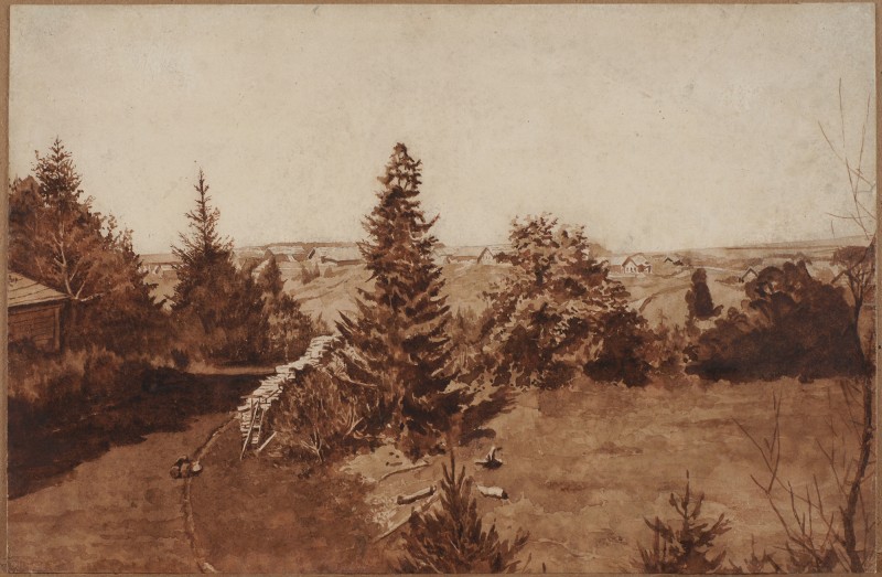 Пейзаж з ялинами