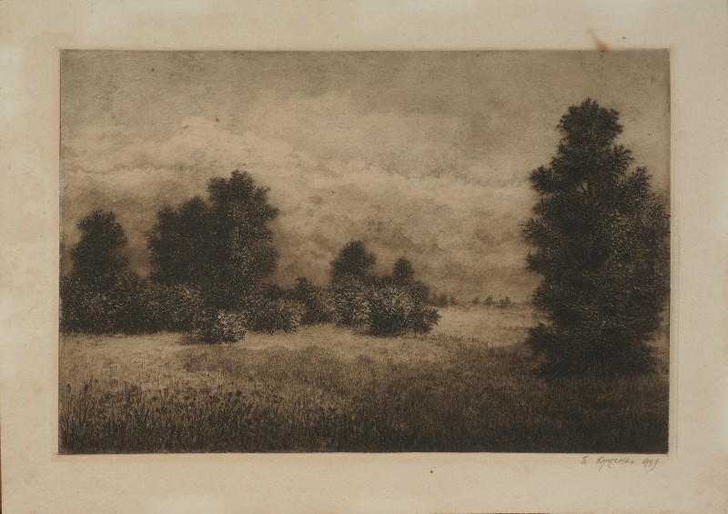 Луг за Бистриком