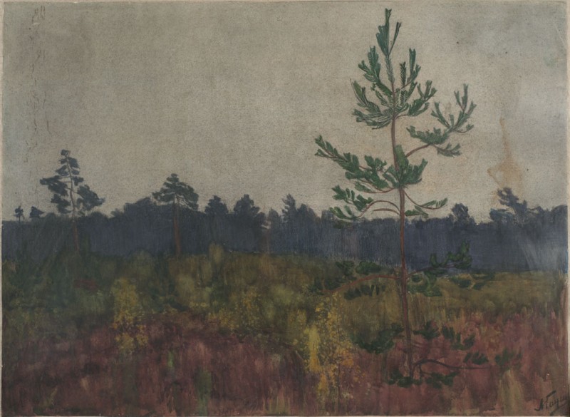 Пейзаж с деревом