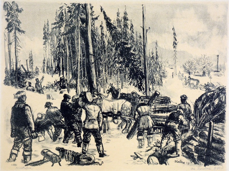 На лісозаготівлях