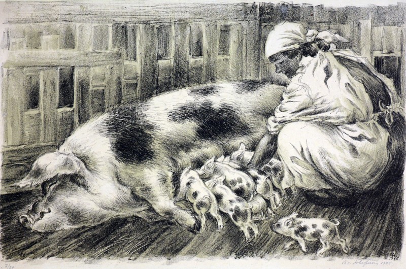 Свинарка.Із серії «Відродження скотарства в Україні»