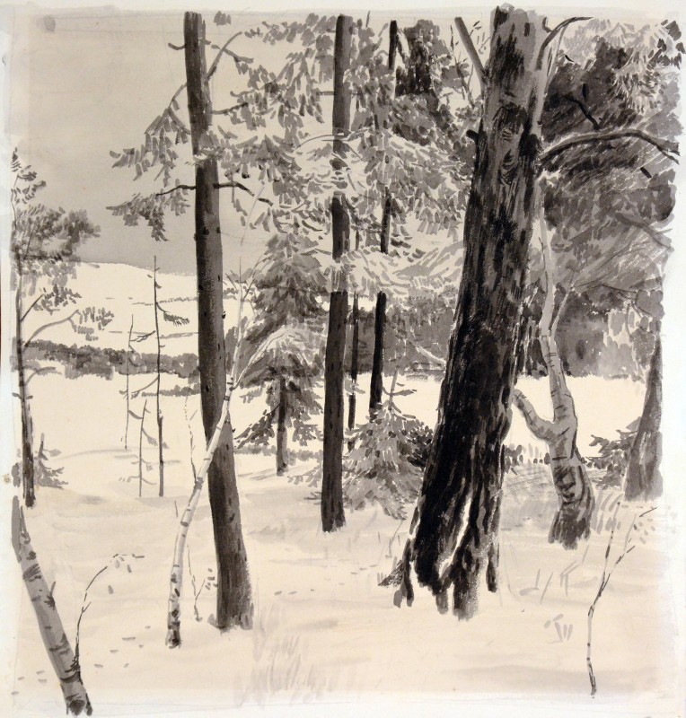 Ілюстрація дооповідання А. Гайдара «Чук і Гек». Тайга