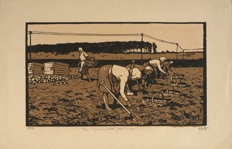 На Ірпінській заплаві