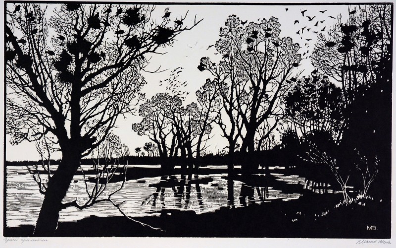 Граки прилетіли