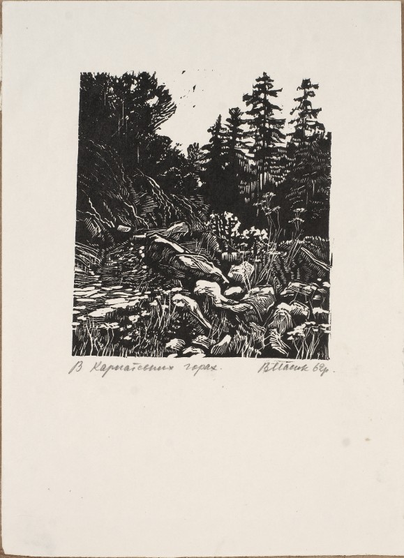 В Карпатських горах