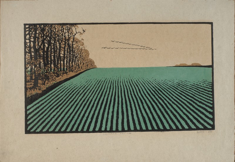 Золота осінь