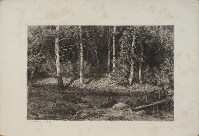 Березовий гай