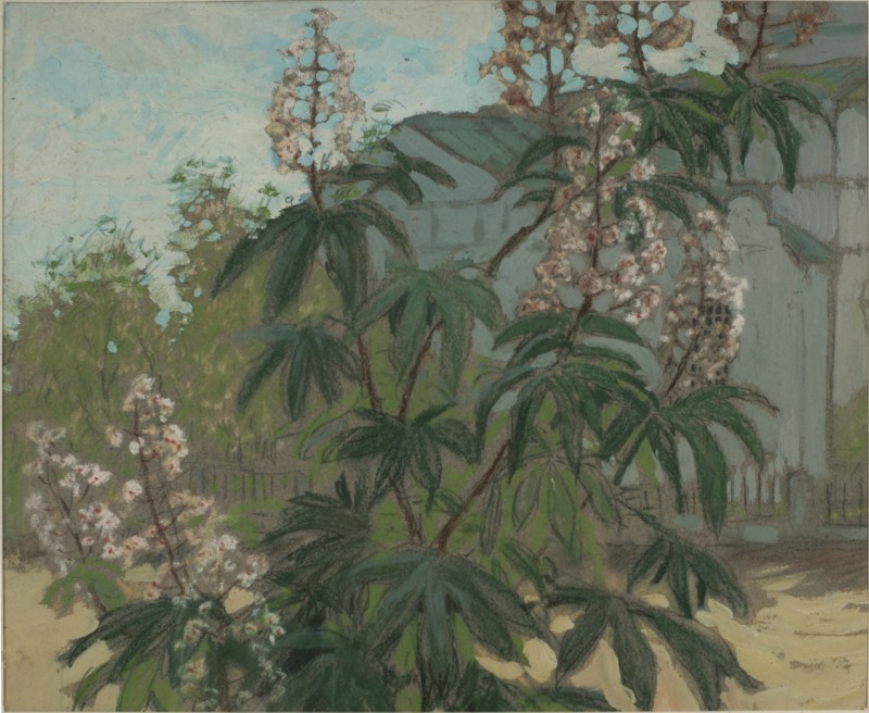 Квітучий каштан