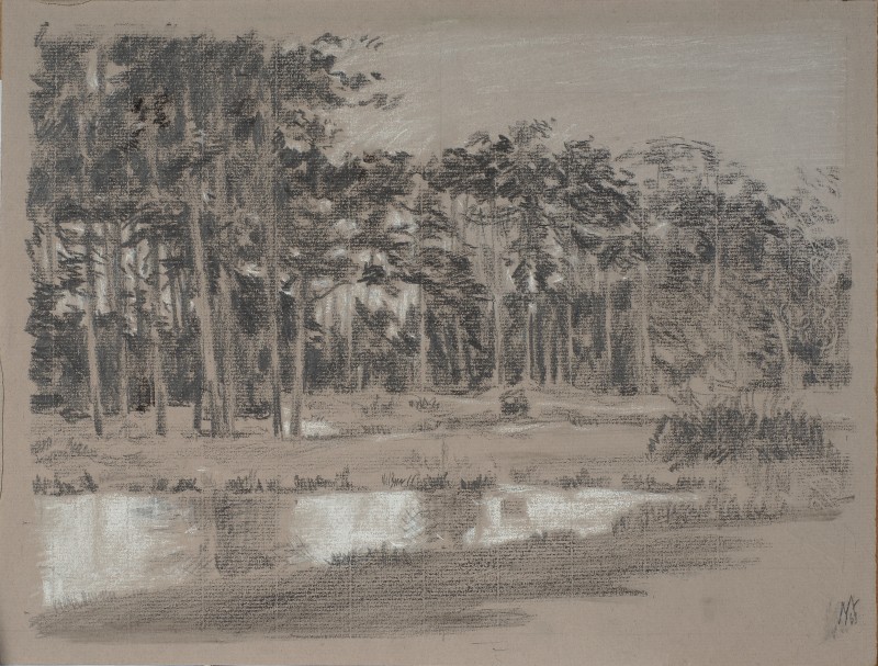 Сосни біля ставка