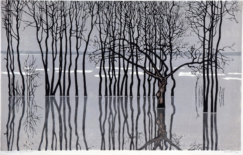 Останні крижини