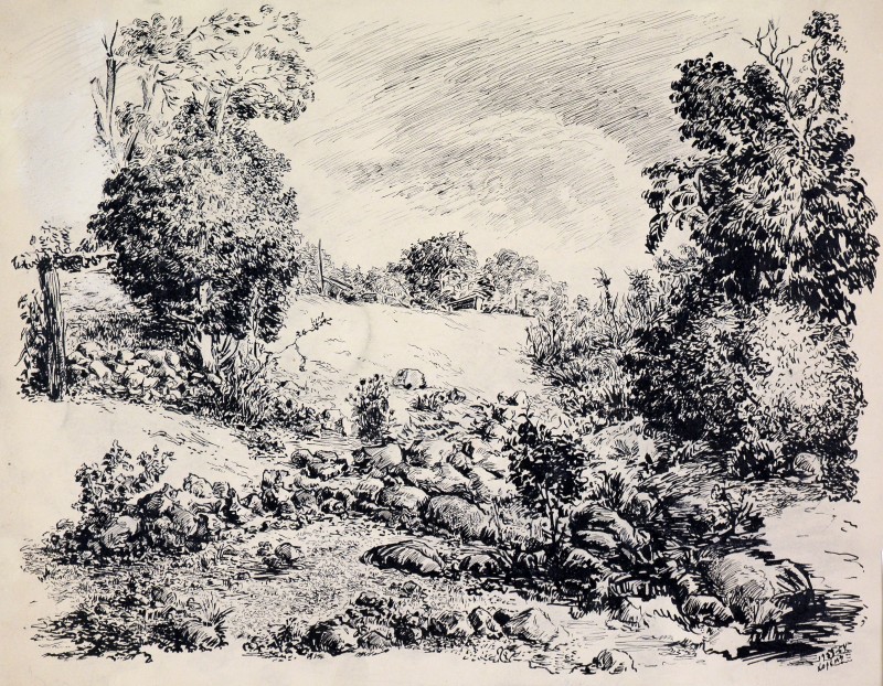 Пейзаж. Хоста