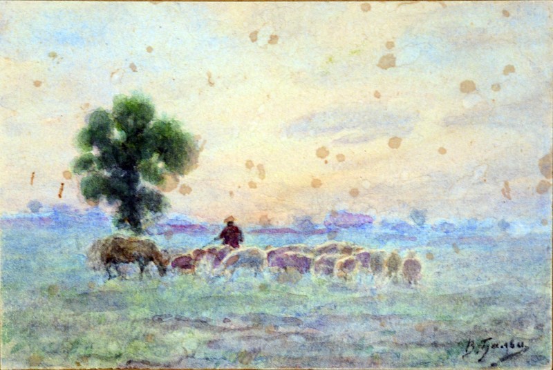 Отара овець