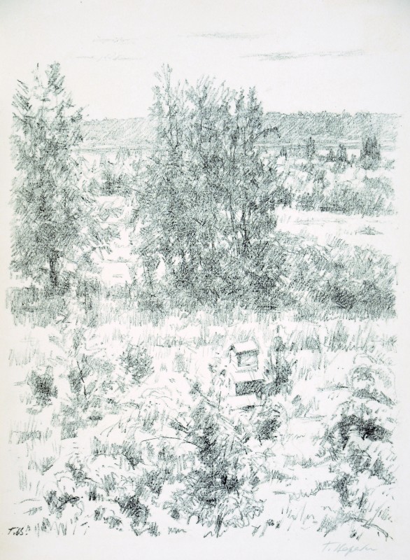 Сад з вуликами