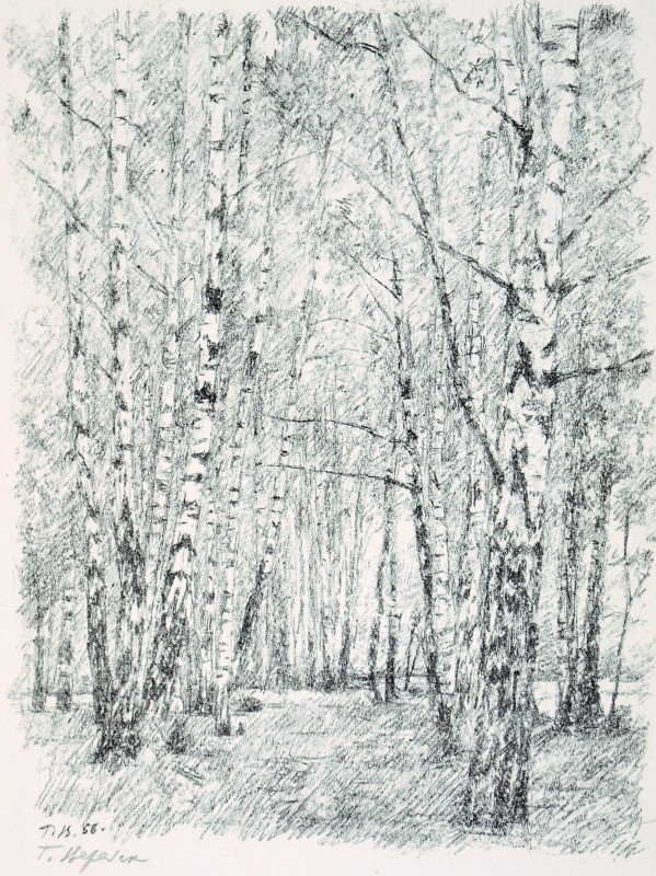 Березовий гай