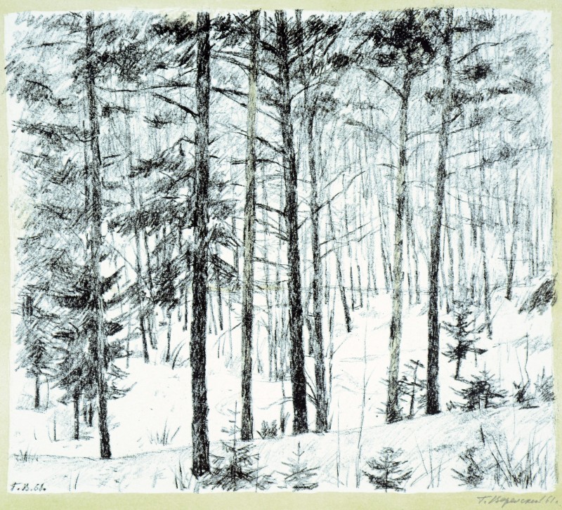 Комарово. Взимку в лісі