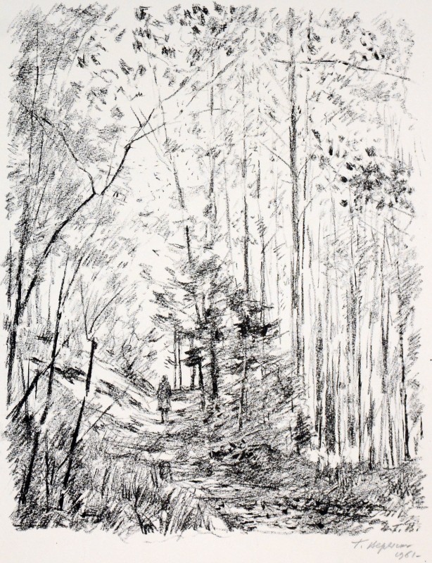 Комарово. У лісі