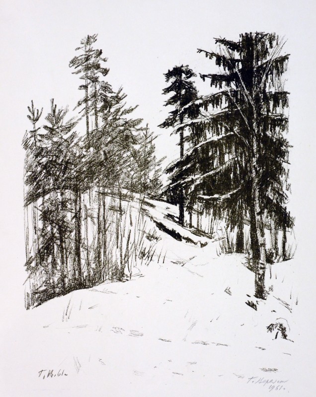 Комарово. Яр в лісі