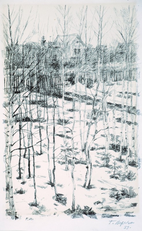 Весною в Червоній Пахрі. Дача