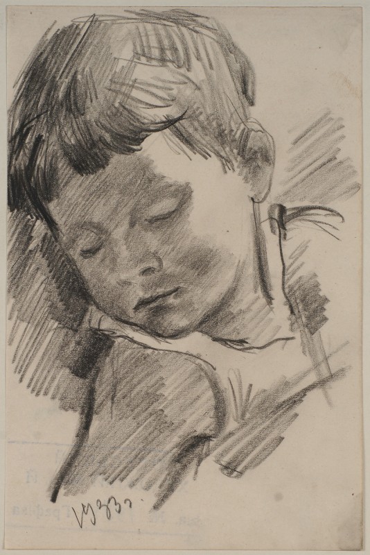 Голова сина художника