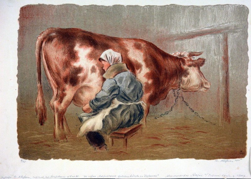 Доярка.Із серії «Відродження скотарства в Україні»