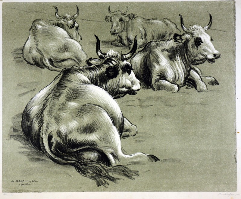 Відпочинок.Із серії «Відродження скотарства в Україні»