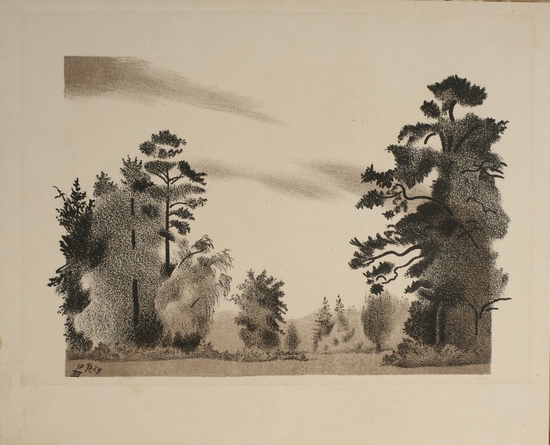 Куртини дерев біля «Білої берези»