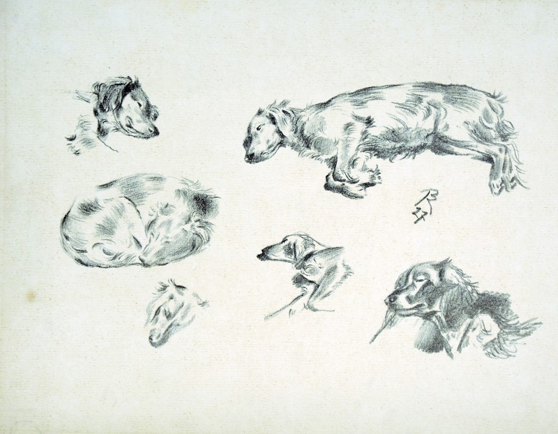 Собака Конашевича