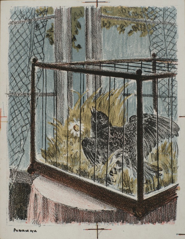 «Ромашка». Ілюстрація до збірки казок Г.-Х. Андерсена