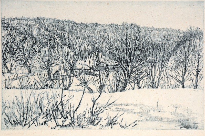 Зимова полянка