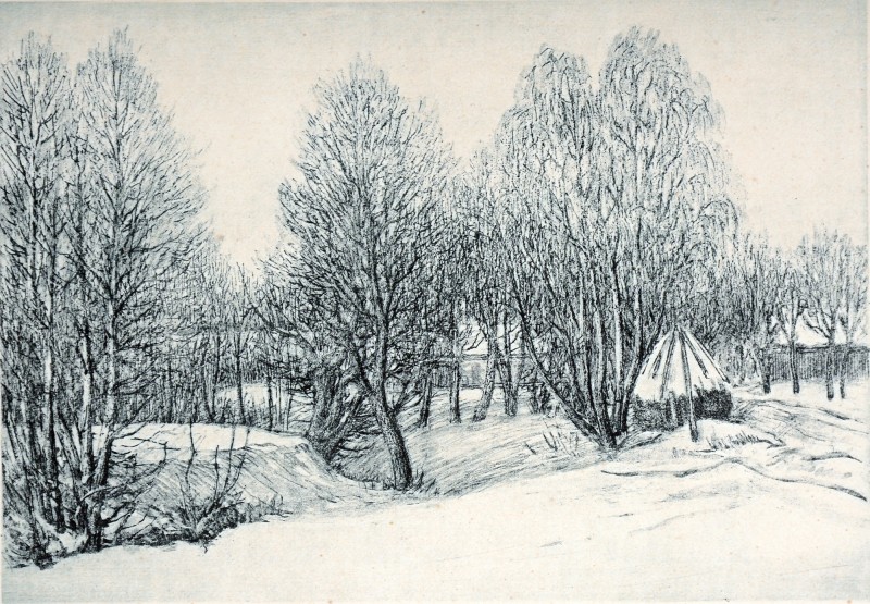 Зима на Поліссі