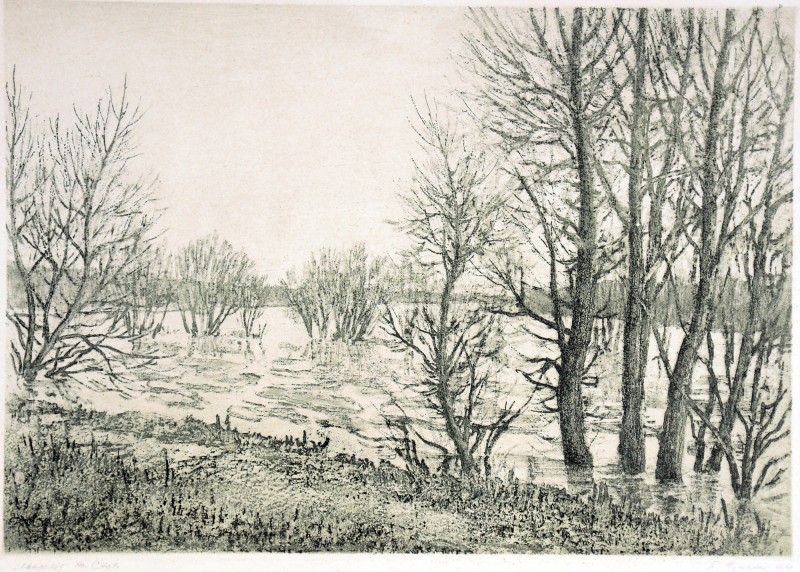 Льодохід на Снові