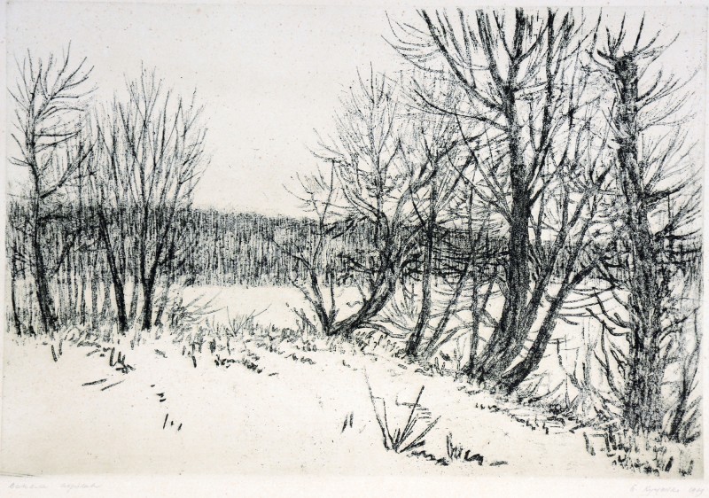 Випала пороша